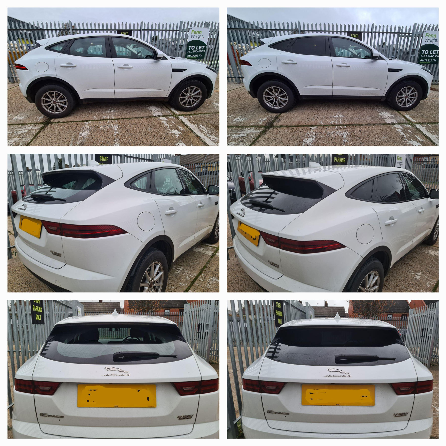 Jaguar